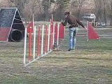 Biki en agility