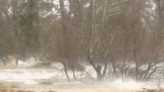 tempête vague à l'assaut des rives Lac Biscarrosse Sanguinet