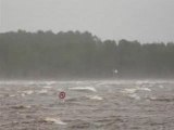 Goélands emportés par les rafales de la tempête Klaus Landes