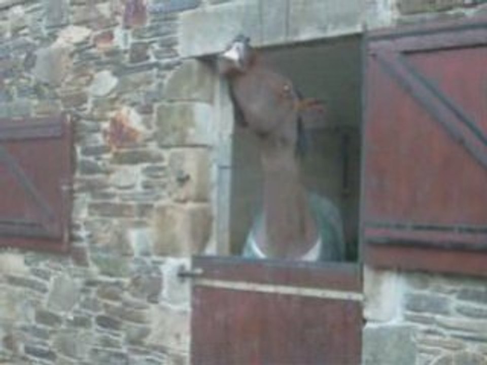Quinze Mai en fooolie =p