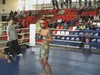 Almma5 short Dragon Fightclub Sochaczew