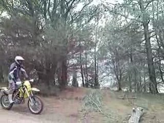 250 rmz-e tronc d'arbre