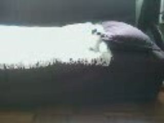 Noupi calin coussin