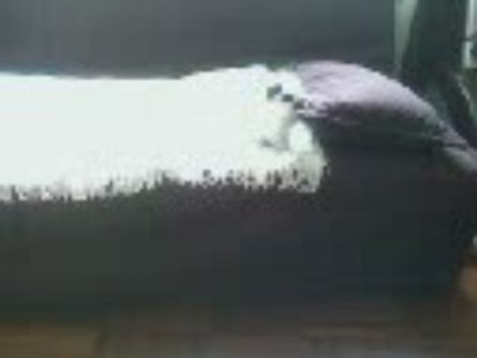 Noupi calin coussin