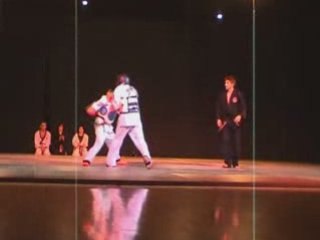 Démonstration Hapkido (GHF) à Castelnau (2004)