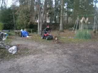 quad 110cc