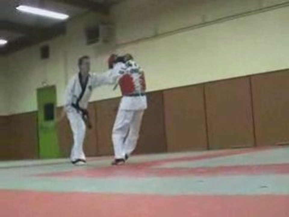 Hapkido : Danbong Sool (techniques de bâton court)