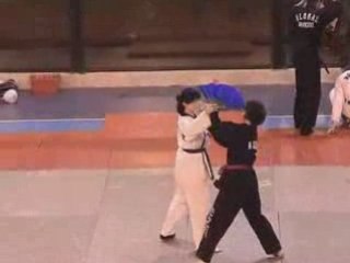 Nuit des AM de Mauguio 2005 - Hapkido