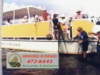 Adventures in Paradise 2