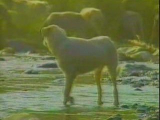 Docu sobre La Alpujarra 2