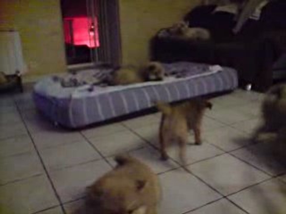 LA MORT DE MON MATELAS PNEUMATIQUE