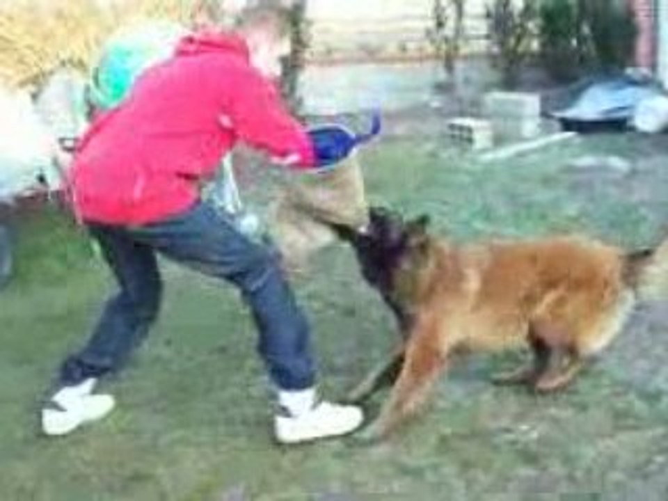 dasco ^^