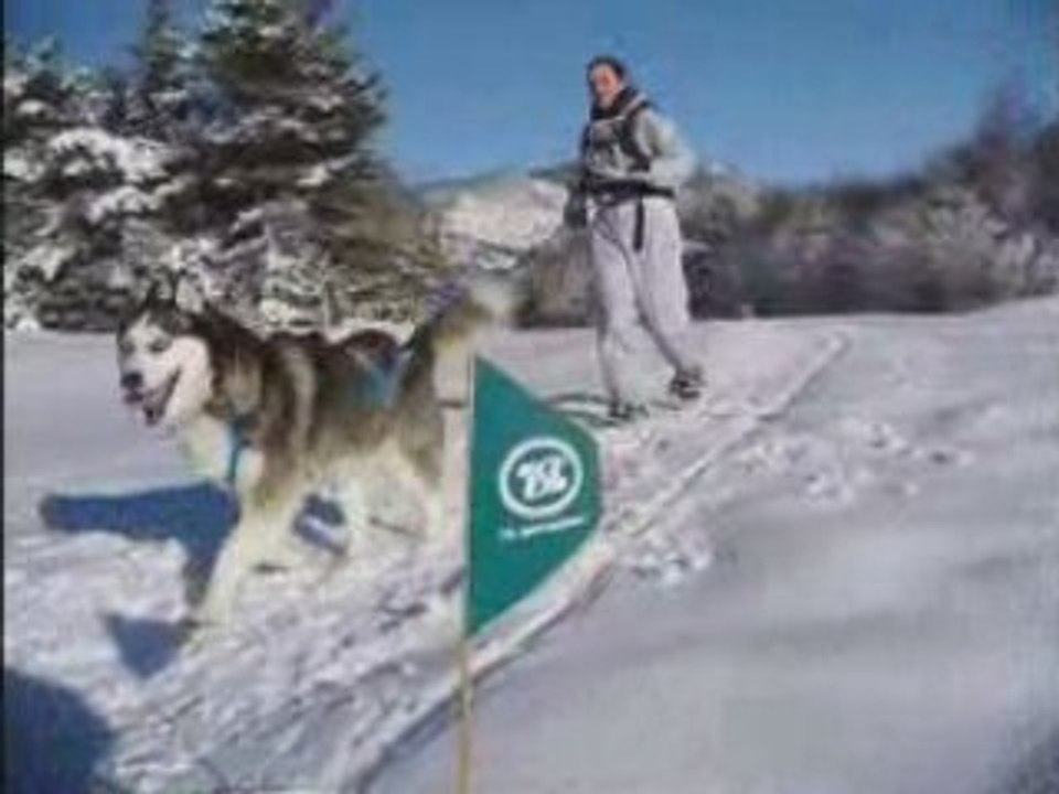 IGLOO SKIJOERING