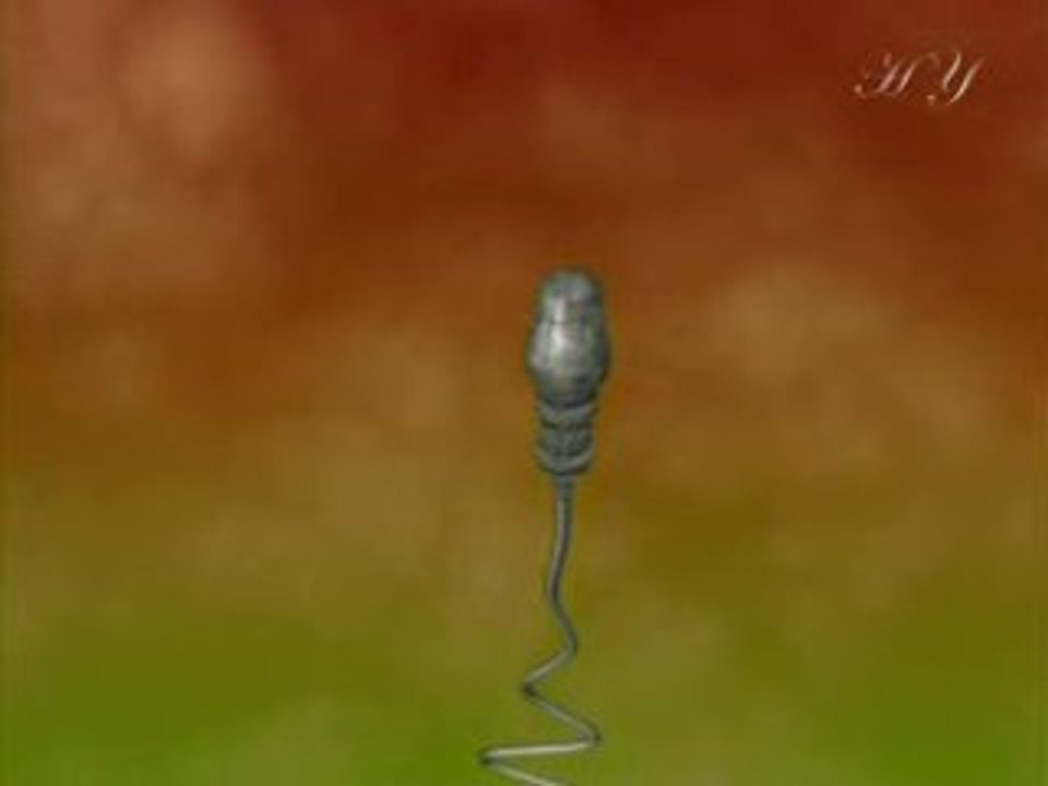LA PREUVE DE LA CREATION 2_5