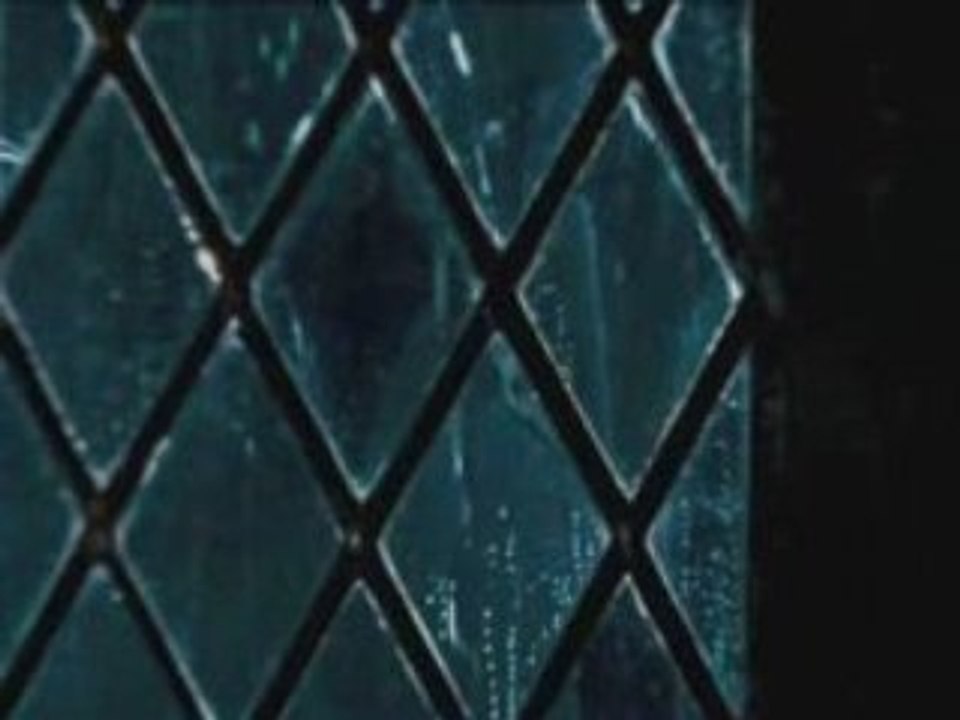 Fantasmic ~ Harry Potter