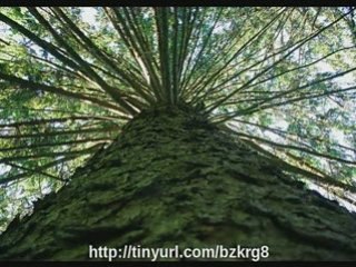 Get Paid to take Photographs & upload them