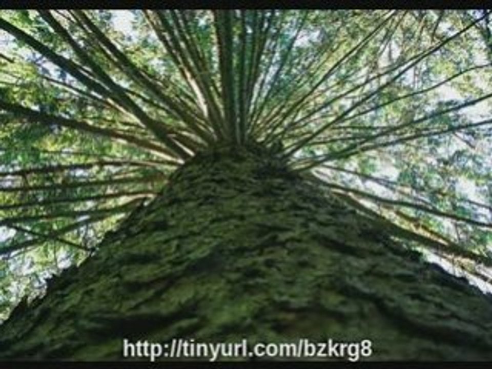 Get Paid to take Photographs & upload them