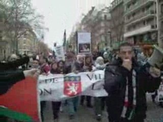 manifestation national les lyonnais a paris palestine