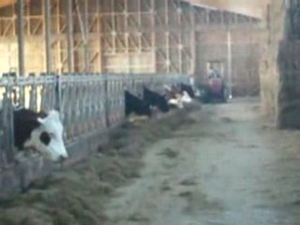 Michel qui pousse le silo aux vaches