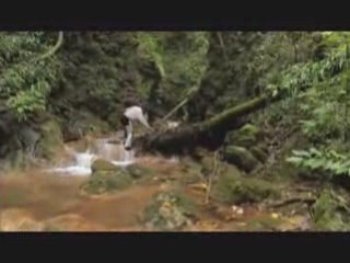 Man Vs. Wild - Dominican Republic