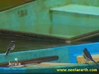 Kerala Holidays - Pookkot Lake - www.neelaearth.com