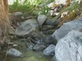 Andreas Canyon Hike Palm Springs Ca