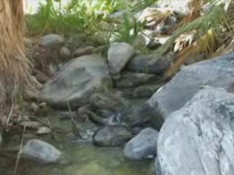 Andreas Canyon Hike Palm Springs Ca