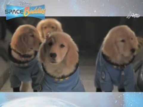 Cutest Dogs in Space Suits: Space Buddies