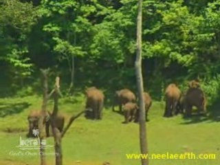 Wildlife Sanctuary - www.neelaearth.com