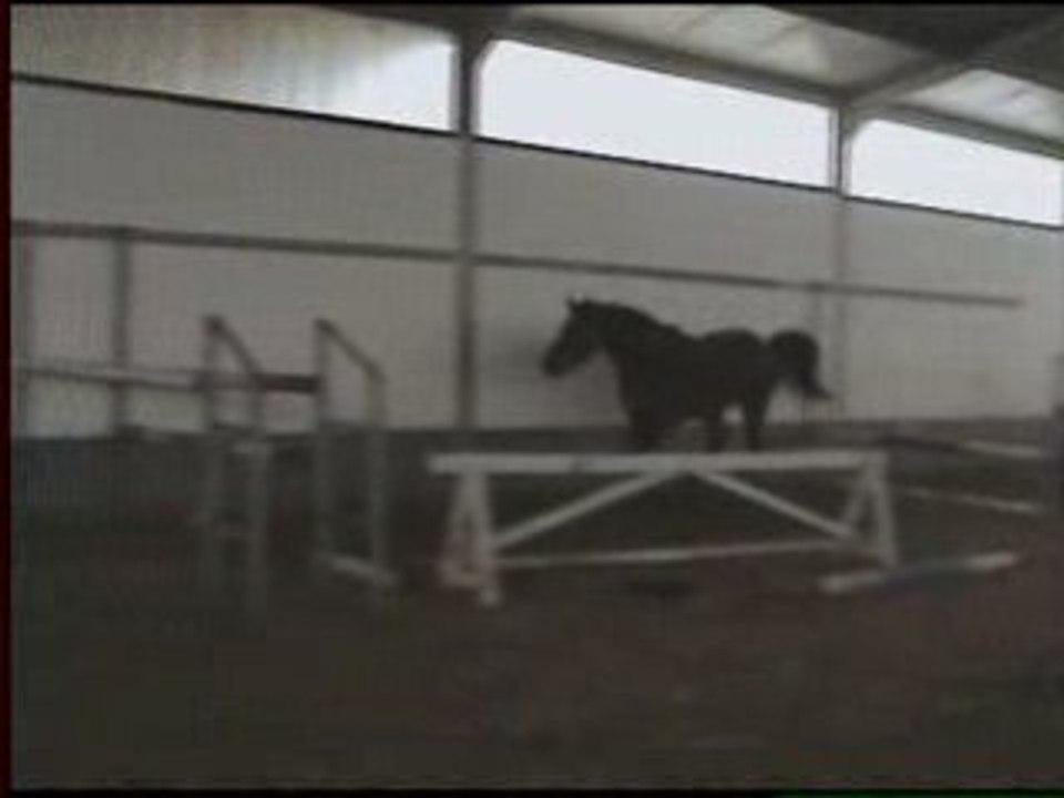 2ème exercice saut en liberté Sprint du Rouet (27.01.2009)