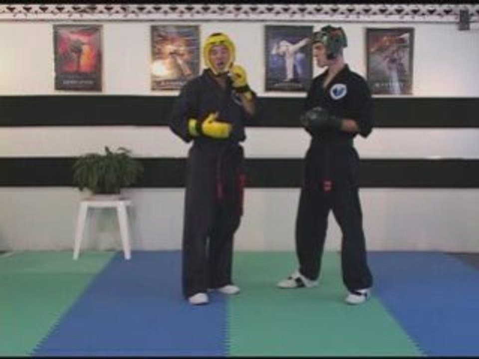 Sport Karate Sparring and Hand Positioning, Roundhouse ...