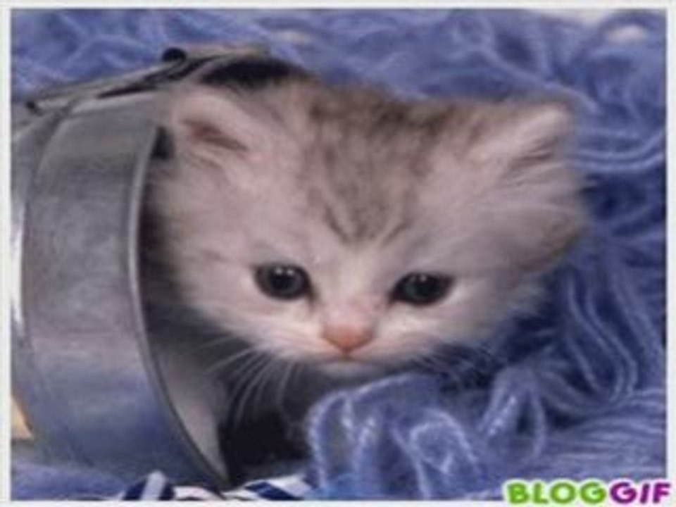 ....................