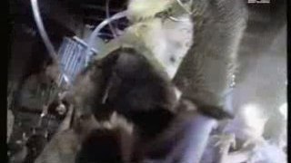 Raver's Nature - Stop scratchin' (1995) [TV-VHSrip, RARE]