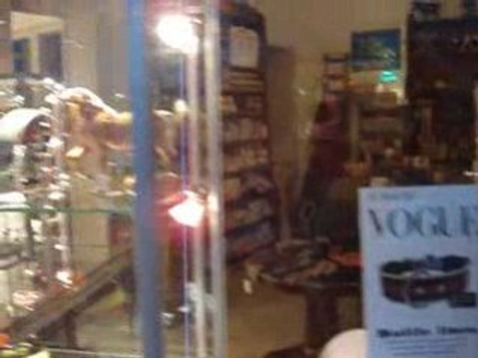 La city Barn boutique pour chiens & Chats Avenue Molière