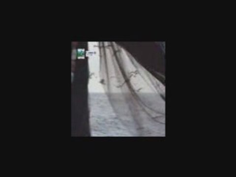 FIGUEIRA DA FOZ - DO MAR À MESA 1