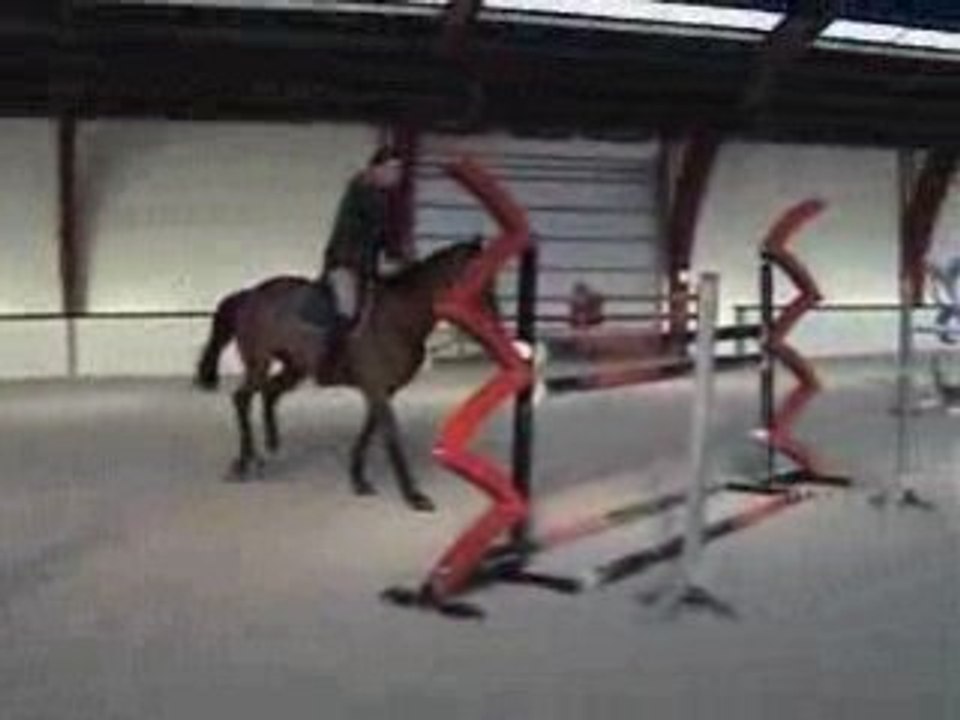 Hongre 2003 par Kashmir