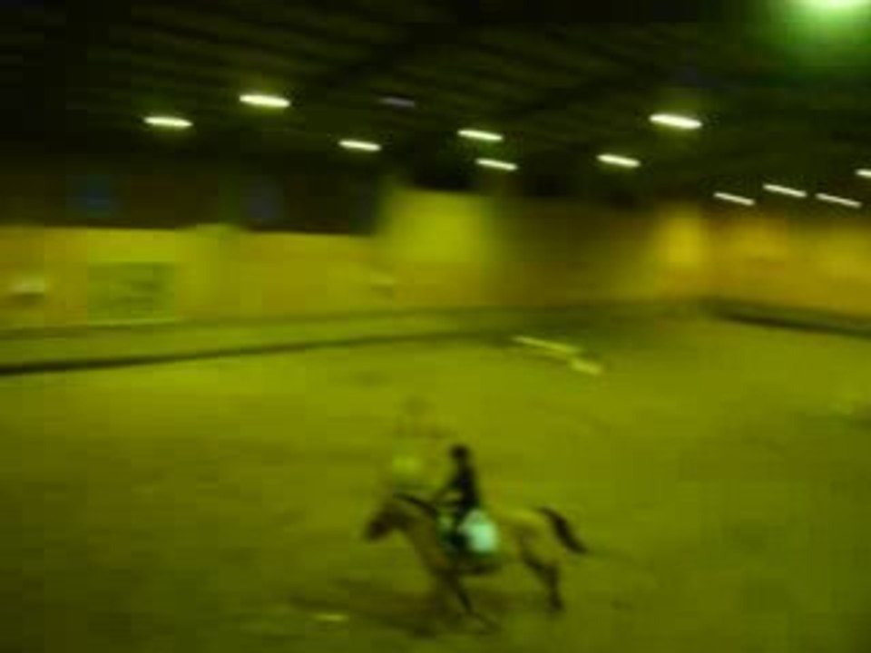 Concours equitation morgane (2)