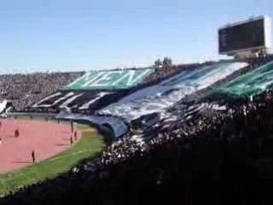 RAJA VS WYDAD DERBY 105 - TIFFO DU MAGANA