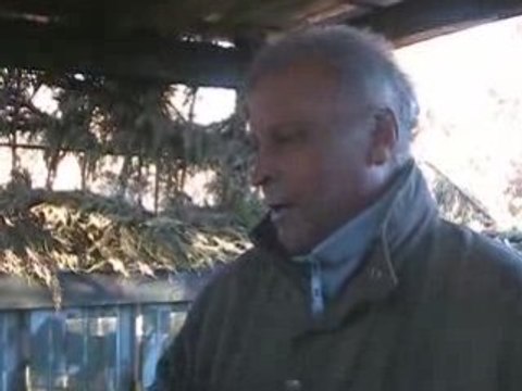 Des heures entières dans les arbres