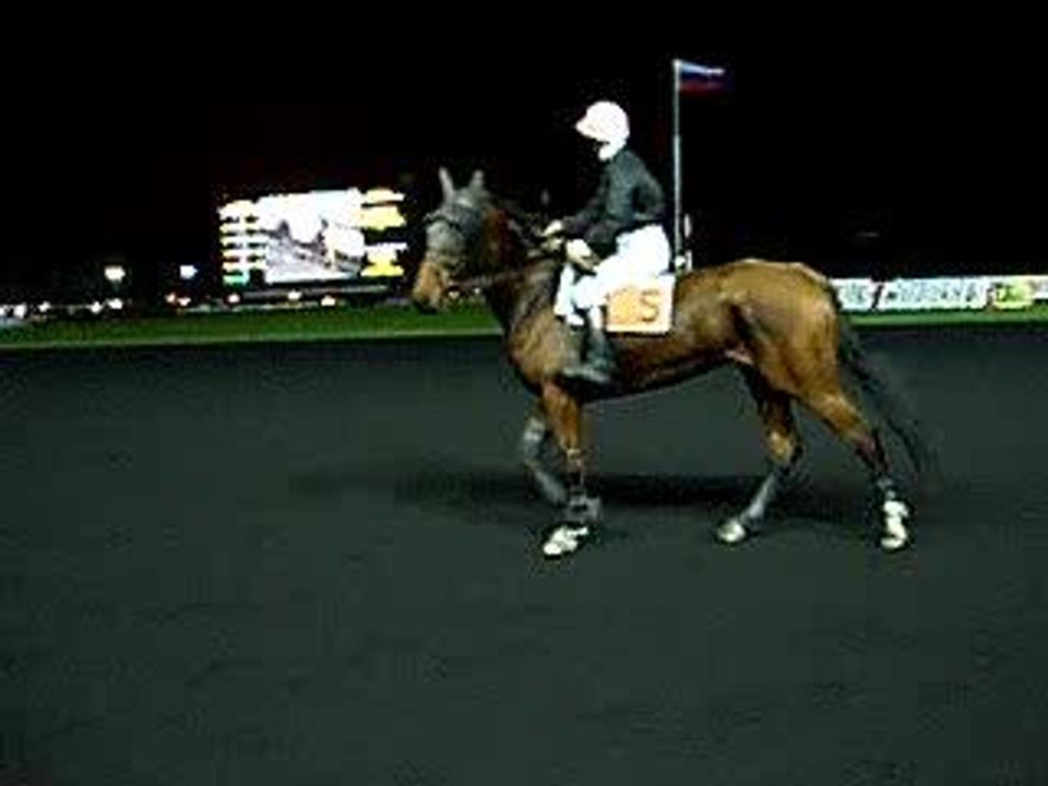 cheval seul
