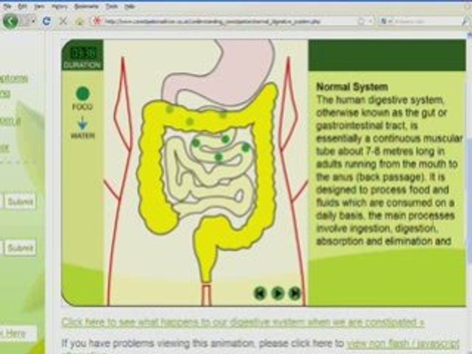 EduMation