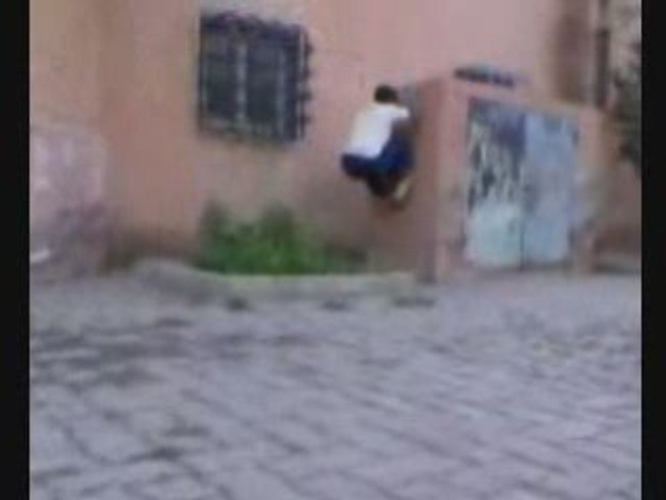Free run tiger
