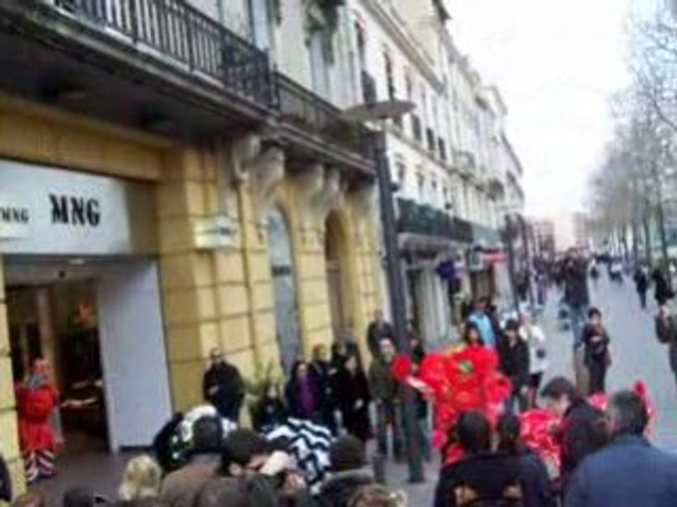 Nouvel An chinois  a perpignan 2009