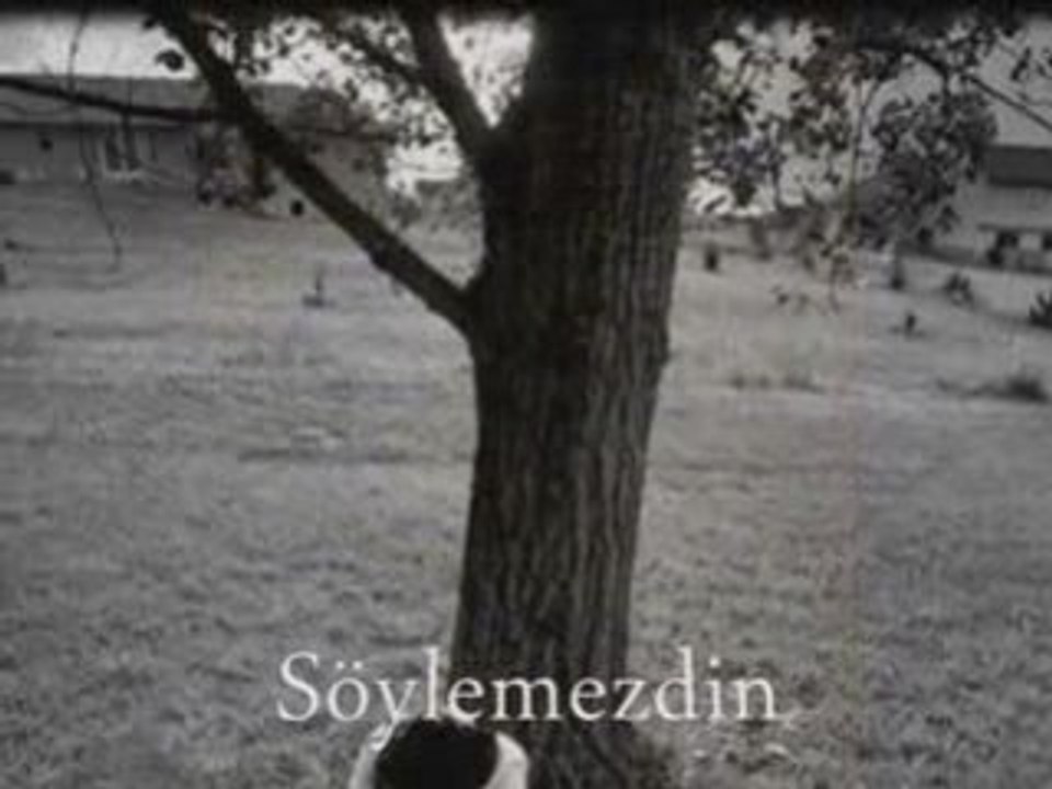 Zeynep Sağdaş - Yarım Kalanlara Rağmen