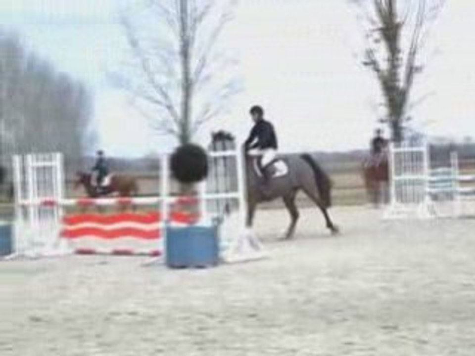 Qualvara de la Folie
