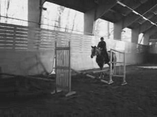 Gadriane 28 janvier 2009