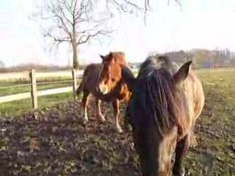 Quiator et Hilton