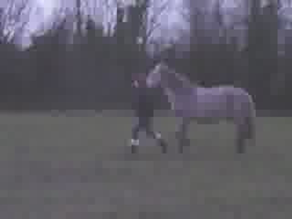 ptite vidéo de louloune...