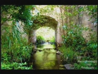 Upływa szybko życie