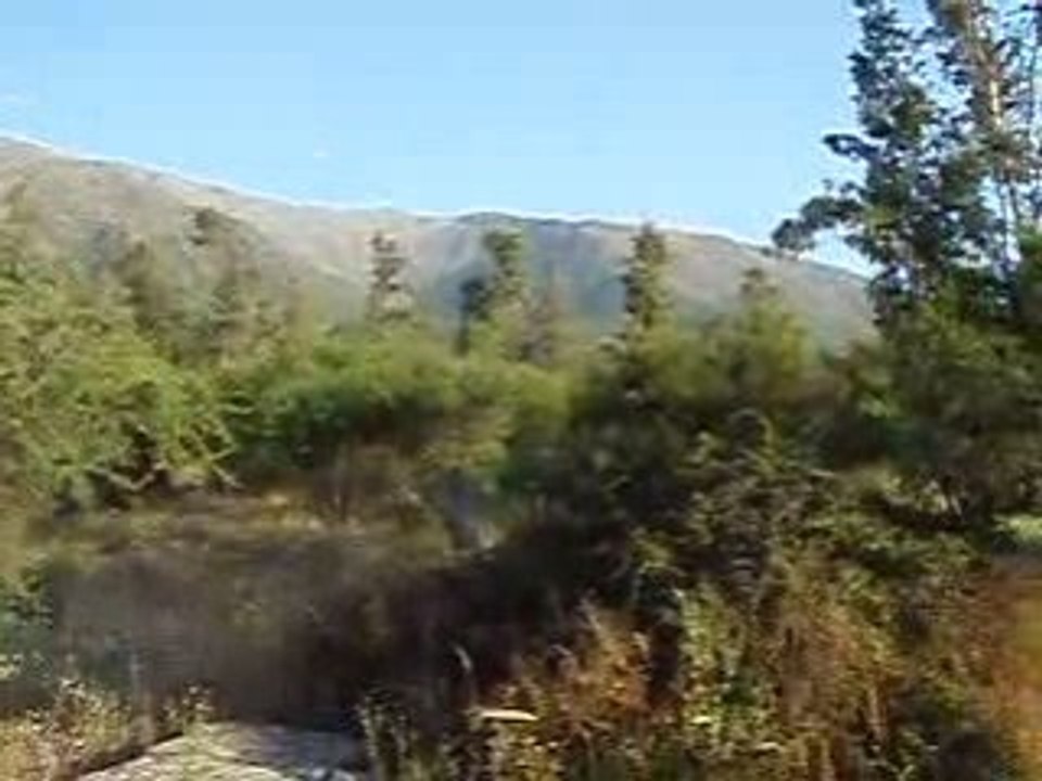 Douceur et paix par les sentiers de l' amour